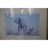 David Shepherd, an African elephant,