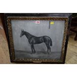 N J Cardeu, 'Prince of Wales', a black racehorse in a stable, signed and dated 98,
