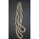 A graduated pearl two strand necklace having unmarked clasp set diamond chip, 42cm.