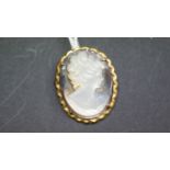 A carved shell cameo brooch decorated bust of classical lady, in 9ct gold frame, 3.4 x 2.7cm.