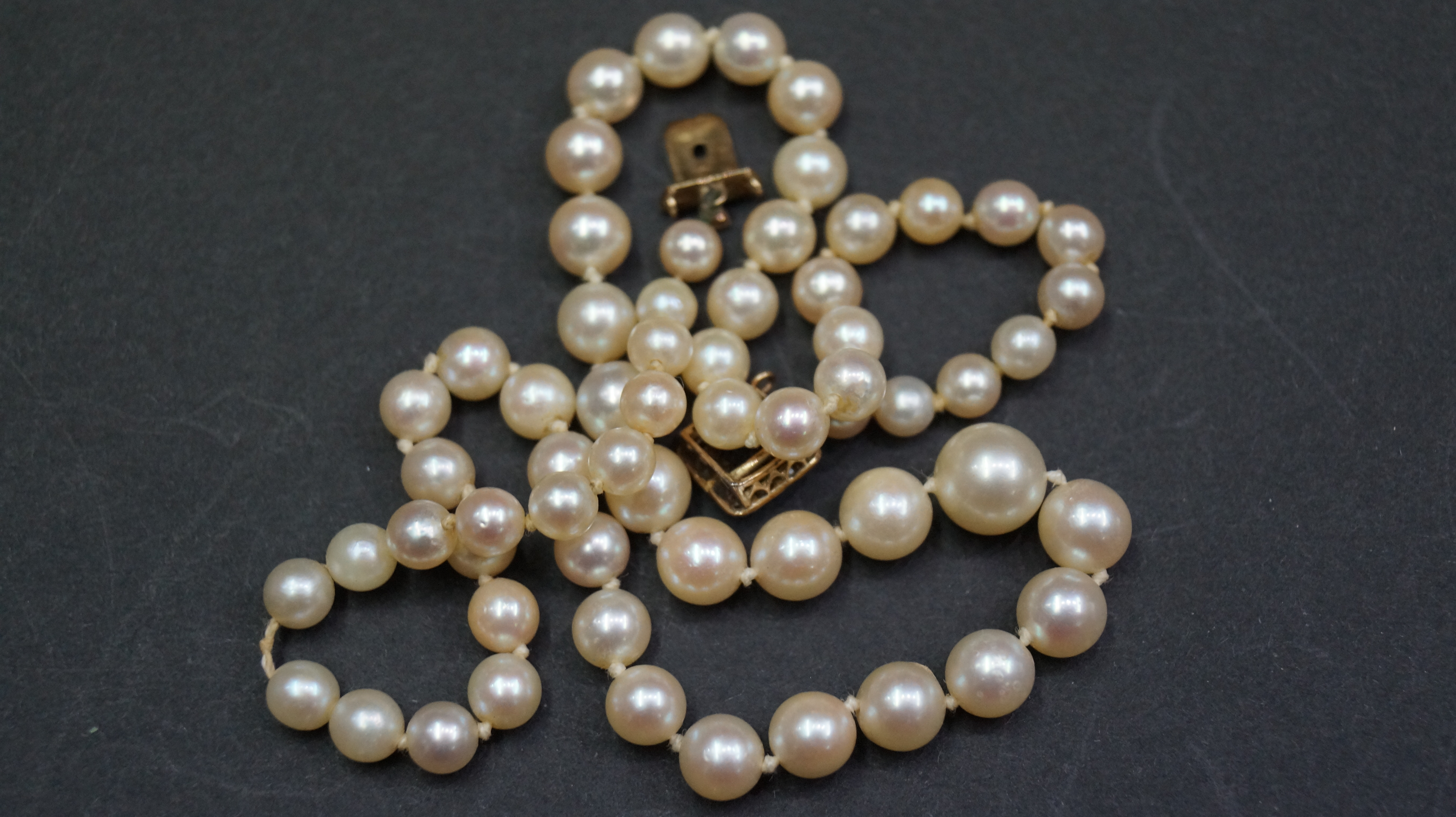 A single strand pearl necklace having yellow metal and gem set clasp, - Image 2 of 3