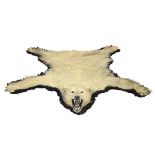 Taxidermy: A Polar Bear skin circa 1930minor splits in skin200cm.; 79ins long