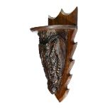 Taxidermy: A Mugger Crocodile wall sconce early 20th century64cm.; 25ins long overall