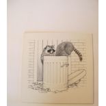 Natural History Pictures: Eight pen and ink drawings of mammals;Racoon; 2 Porcupines; Sea Lions;
