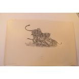 Natural History Pictures: A pen and ink drawing of playing cheetahs34cm.; 13½ins by 53cm.; 21ins and