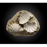 A group of fossil shells13cm.; 5insProvenance: Emmen Zoo Collection. See footnote to lot 1 for