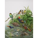 Natural History Pictures: A watercolour by Tim Hayward of various birds, terrapins and fish70cm.;