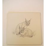 Natural History Pictures: Six pen and ink drawings;Caracal; Serval; Jaguar; Puma; Ocelot;