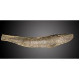 A similar large fossil fishSantana formation, Brazil, Cretaceous, 41cm.; 16ins long (See footnote to