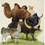 Natural History Pictures: A watercolour of a Camel, Llama and other animals58cm.; 23ins by 56cm.;