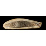 A small fossil fishSantana formation, Brazil, Cretaceouswith wall fixings24cm.; 9½ins long (See