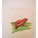 Natural History Pictures: Two watercolours;Frog - Dendrobates tricolor; Frog - Dendrobates