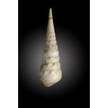 A fossil Turritella shellprobably France, Eocene34cm.; 13½in highProvenance: Emmen Zoo Collection.