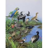 Natural History Pictures: A watercolour by Tim Hayward of exotic birdsincluding a parrot and