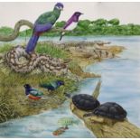 Natural History Pictures: A watercolour by Tim Hayward of Crocodiles, snakes and other birds and