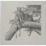 A pen and ink drawing of a leopard and its kill 37cm.; 14½ins by 38cm.; 15ins and a pencil drawing