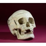 Natural History: A Human skull hinged as a medical model 19cm.; 7½ins