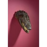 Taxidermy: A crocodile head early 20th century 45cm.; 17½ins high