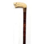 Walking canes: A wooden stick the lion carved ivory handle with inlaid eyes and 9 carat gold collar,