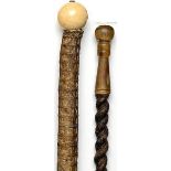 Walking sticks: A ray/shark vertebrae cane with billiard ball ivory top circa 1900 88cm.; 35ins