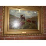 John Shirley Fox painting of highland cattle