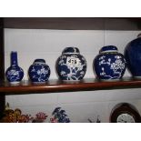 5 oriental jars