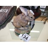 Border fine arts rabbit