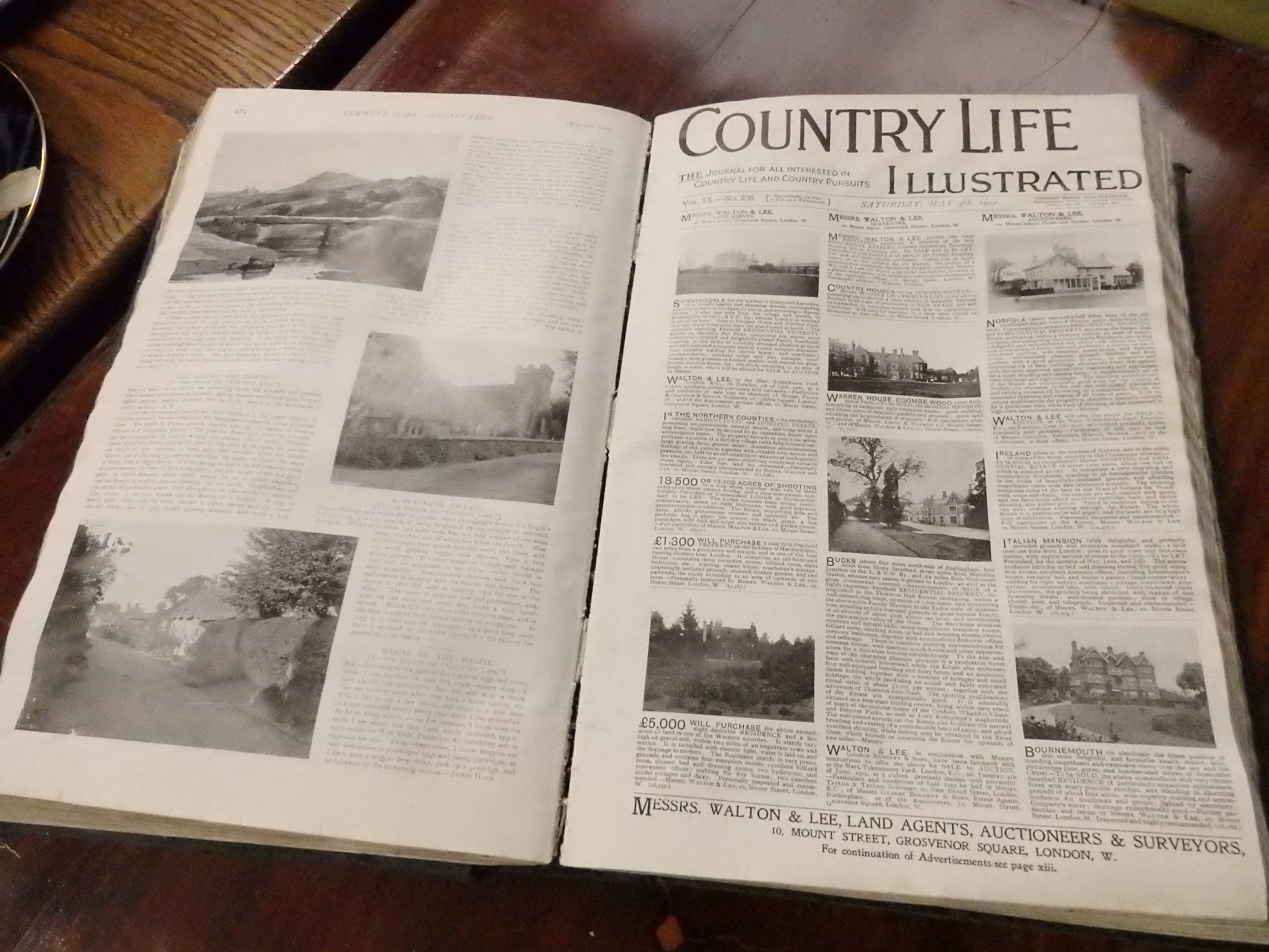 Country Life illustrated 1901