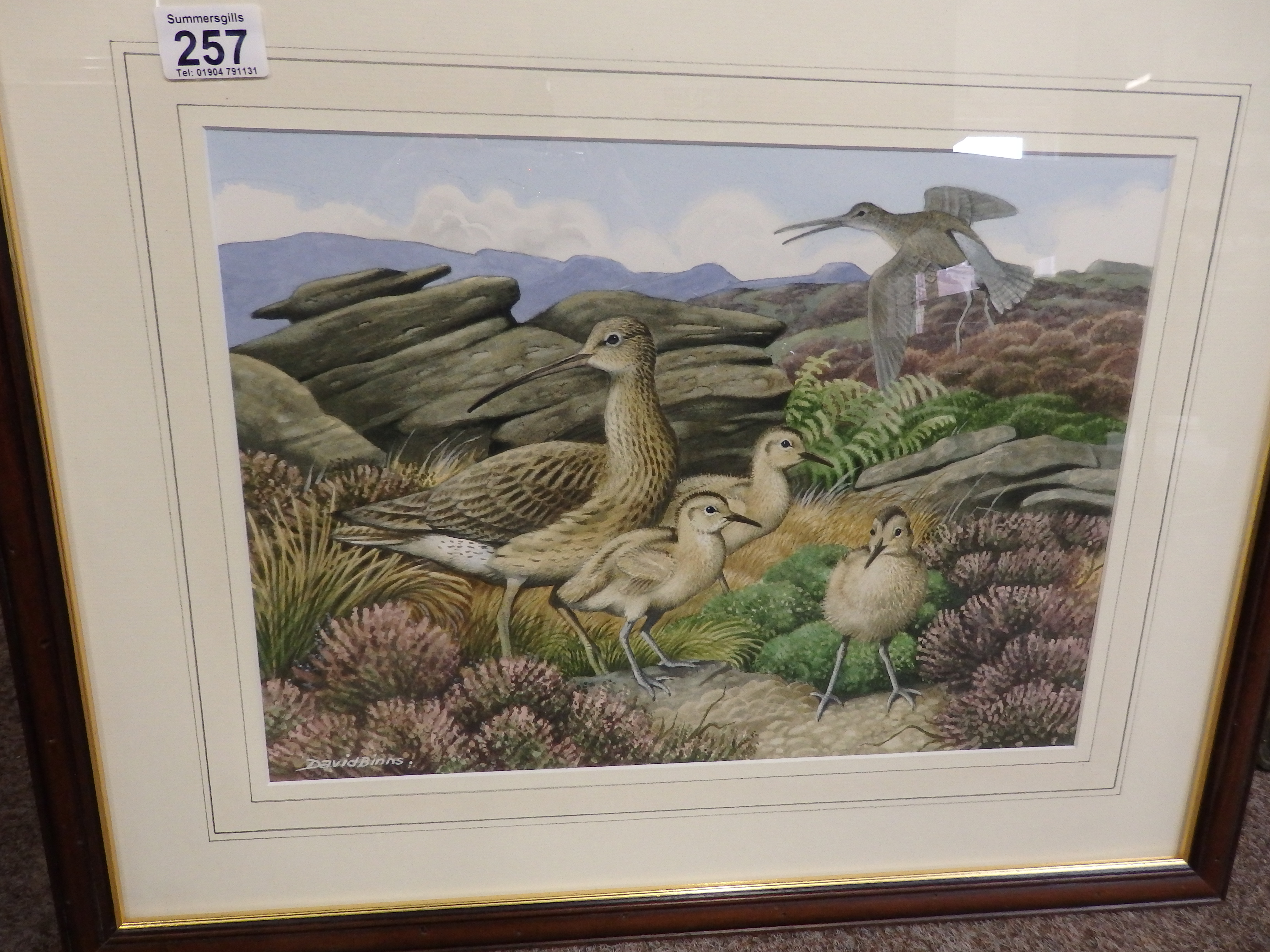 David Binns picture of Curlews on Stanage Edge 2005