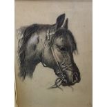 J.M., 1915, CHARCOAL PORTRAIT Horse's head, framed. (57cm x 70cm)