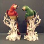 A PAIR OF 19TH CENTURY CONTINENTAL PORCELAIN FIGURES Modelled as parrots perched on a gnarled