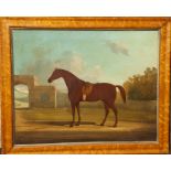 W.F. BURT, 1890 - 1941, OIL ON CANVAS Bay Horse in a landscape, signed and maple framed. (20" x