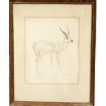 JOHN SKEAPING, 1901 - 1980, A LIMITED EDITION PRINT Signed, along with a black and white hunting