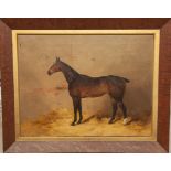 H.F. LUCAS, 1848 - 1943, A PAIR OF OILS ON CANVAS Racehorses in a loose box, 'Pantaloon' and '