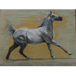 JANET BRABAZON, CONTEMPORARY, PASTEL Titled 'Arab 1', signed, glazed and framed. (31" x 26")