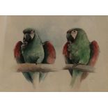 A 20th century watercolour ,portraits of parrots each having green and red feathers and resting on