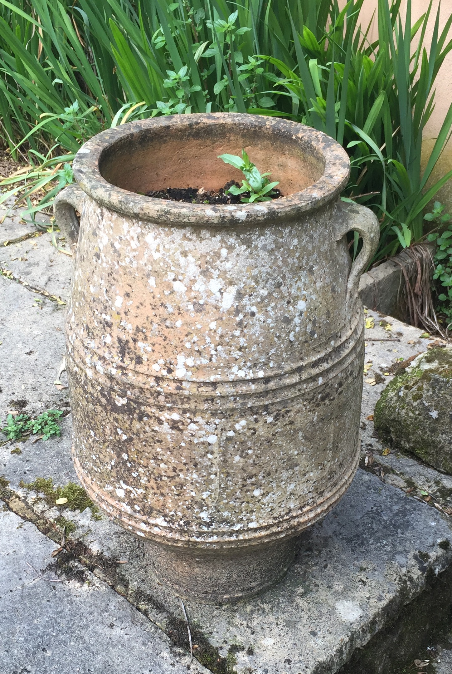 A TERRACOTTA PLANT POT Of Grecian design. (approx 58cm x 29cm)