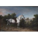 PHILIP REINAGLE, BRITISH, 1749 - 1833, OIL ON CANVAS Sir Charles Mordaunts, Grey Hunter, Piccolo