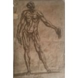 CIRCLE OF LEONARDO DA VINCI, 1452 - 1519, A 16TH CENTURY PEN AND INK ON PAPER Male anatomical study,