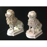 A PAIR OF 19TH CENTURY BLANC DE CHINE POTTERY POODLES