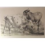 THOMAS SYDNEY COOPER, 19TH CENTURY BALCK AND WHITE LITHOGRAPH PRINT 'group of cattle drawn from