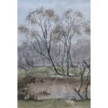 RICHARD NEWTON, A 20TH CENTURY PASTEL Riverside landscape, signed, framed and glazed. ?30-40