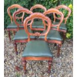 A SET OF SIX 19TH CENTURY SATIN BIRCH BALLOON BACK CHAIRS Having carved rails over drop in seats,