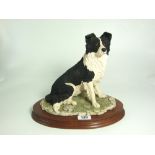 Border Fine Arts - Border Collie, Seated (style one) - 8.75".