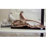 2 Pairs of Glazed Pottery and Textured Pottery Pheasants.