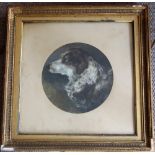 COUNTESS OF RAVENSWORTH - Portrait of a Border Collie. Mixed Media, Dated 1879 (11.25" diameter).