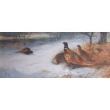 ARCHIBALD THORBURN - Pheasants in the Snow. Limited Edition Print (159/195) - with certificate (