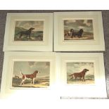 RUEBEN WARD BINKS - 4 Unframed Prints of Gun Dogs, Setters etc.