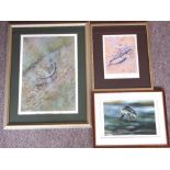 ROBIN ARMSTRONG - 2 Limited Edition Angling Prints and other by C Sharp.