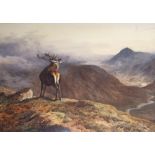 ARCHIBALD THORBURN - Voices of the Forest. Limited Edition Print (53/195, with certificate) - 16.